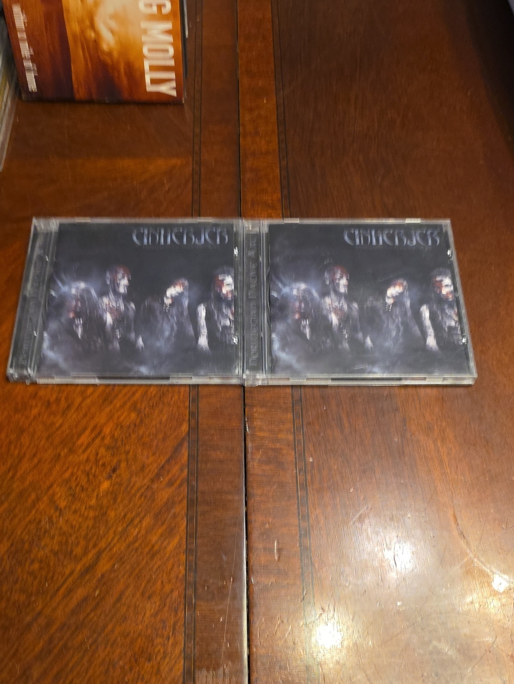 Einherjer CD Lot
